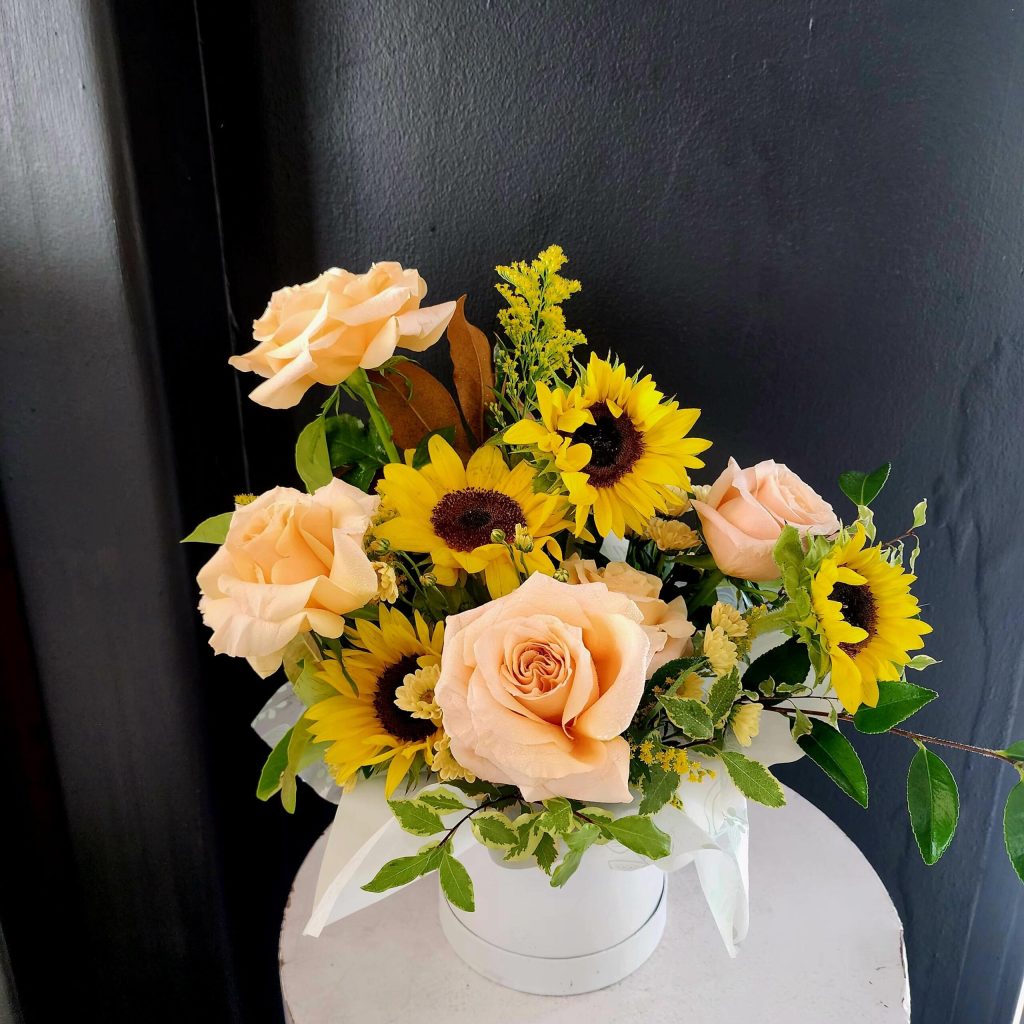 Radiance - updated version