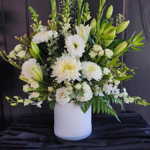 Wings of Freedom - symapthy or Funeral arrangement