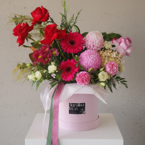 edited_1769673594435