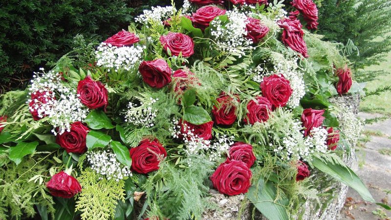 roses, morning mist, graveyard, grief, memorial, funeral, flower, flower background, flower wallpaper, gypsophila, red, nature, beautiful flowers, blossoms