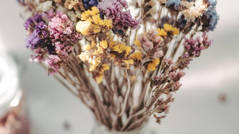 spring, flowers, beautiful flowers, dried flowers, flower background, nature, flower wallpaper, botany, bloom, blossom