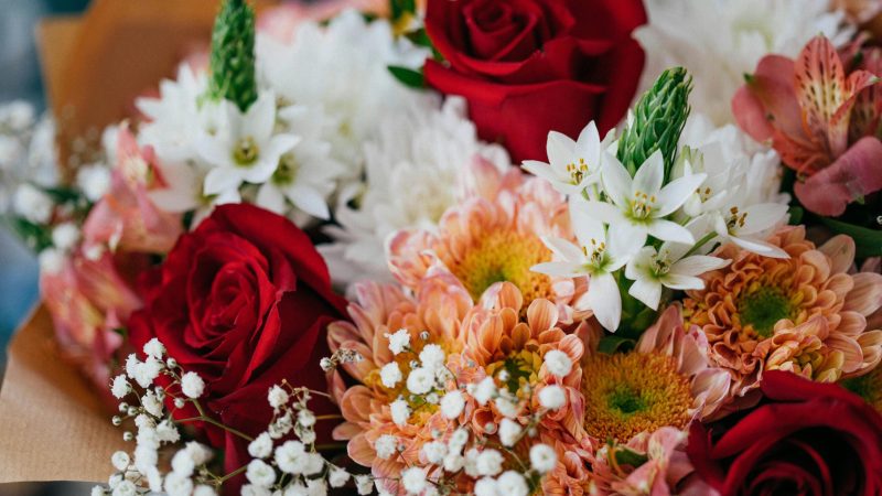 A colorful bouquet featuring red roses, white star of Bethlehem, and chrysanthemums.