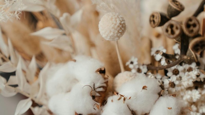 A beautiful arrangement featuring cotton with dried flowers in a rustic vase, showcasing a neutral palette.