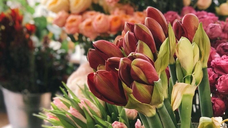 A stunning arrangement of fresh, vibrant flowers in various colors and types, set indoors.